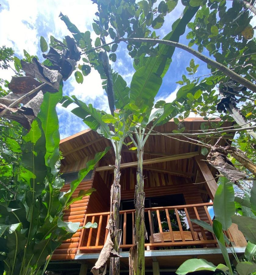 Arenal Rustic Lodge ラ・フォルトゥナ エクステリア 写真