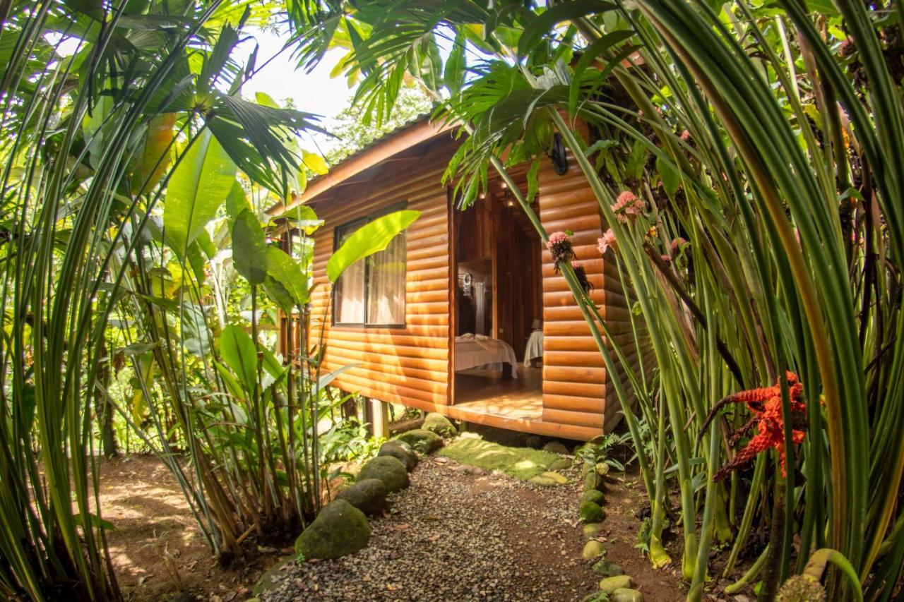 Arenal Rustic Lodge ラ・フォルトゥナ エクステリア 写真