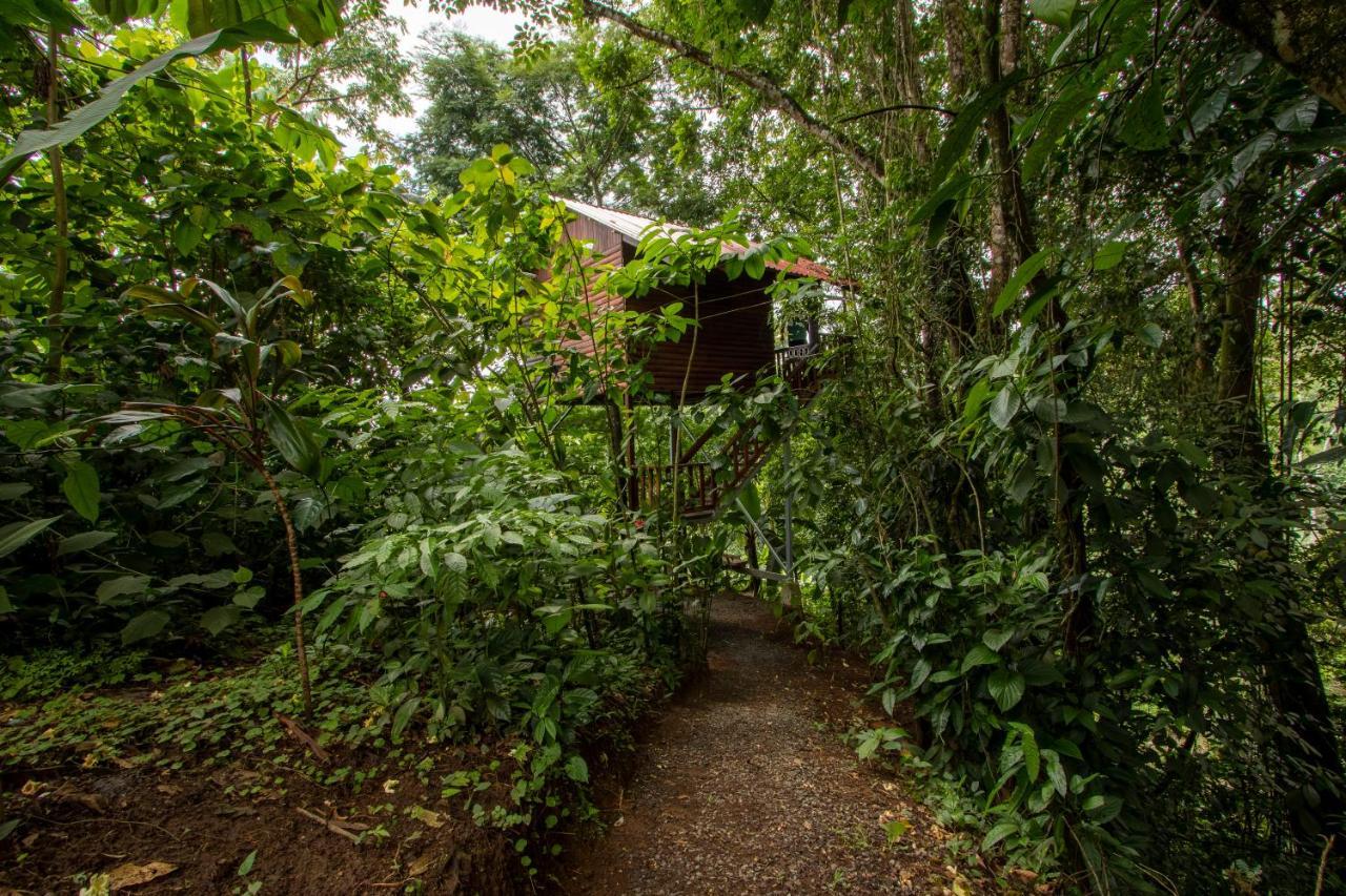 Arenal Rustic Lodge ラ・フォルトゥナ エクステリア 写真