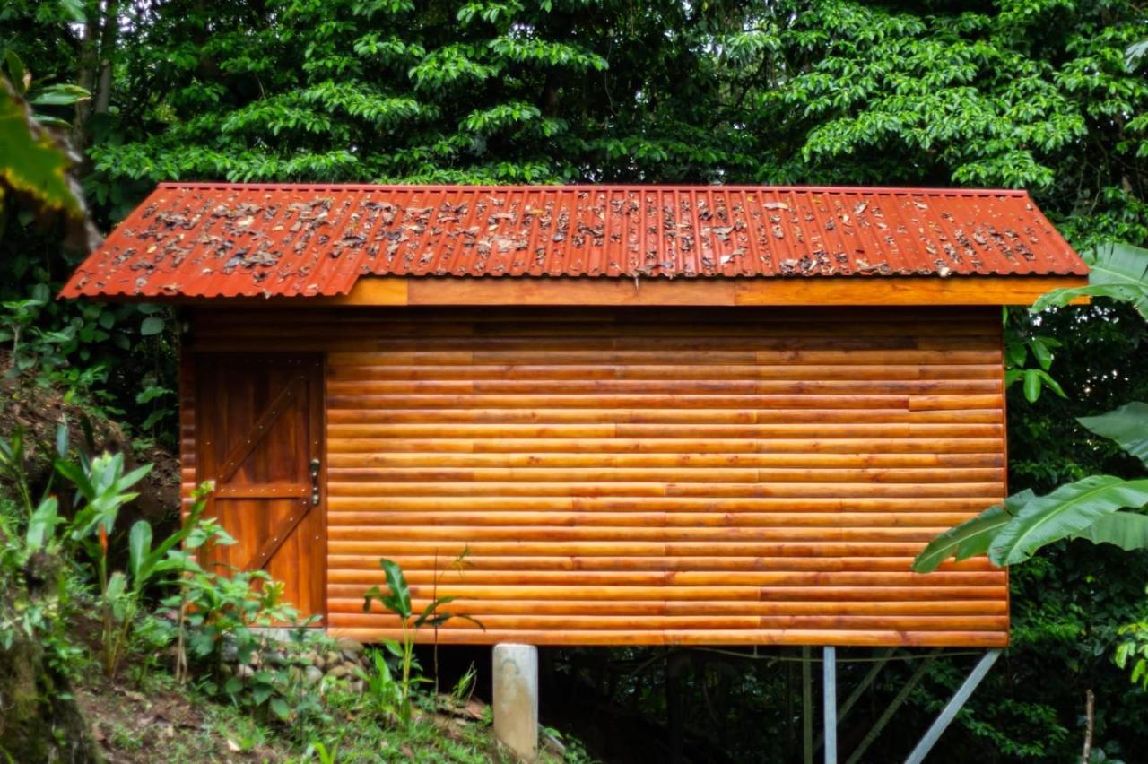 Arenal Rustic Lodge ラ・フォルトゥナ エクステリア 写真