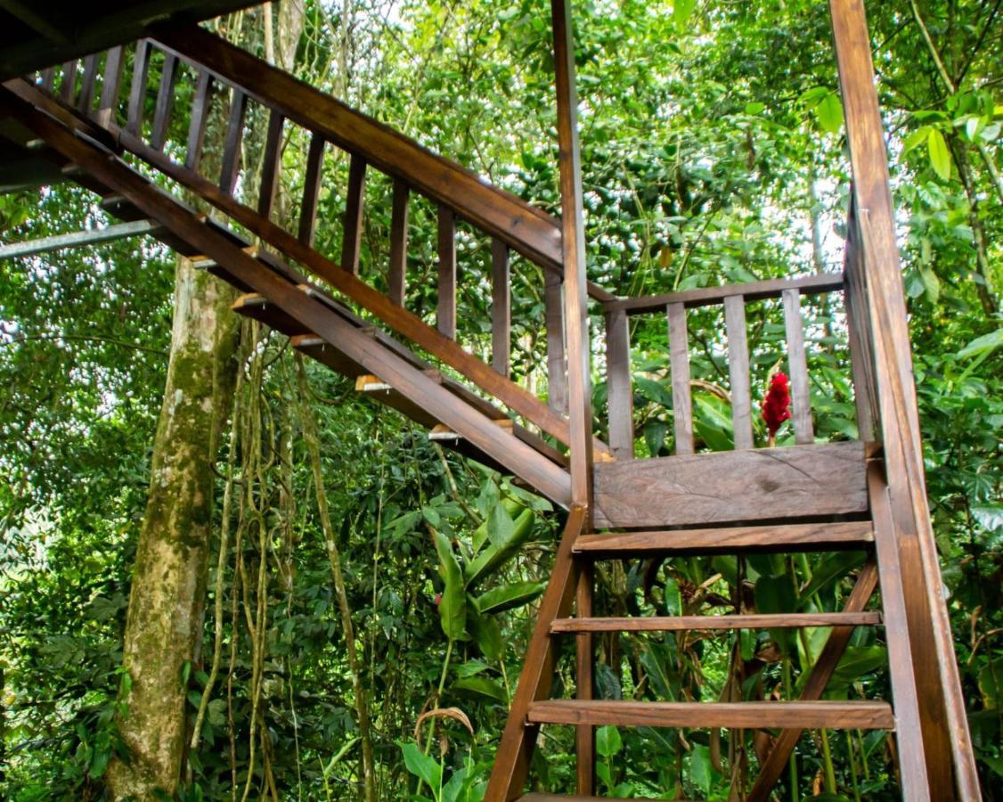 Arenal Rustic Lodge ラ・フォルトゥナ エクステリア 写真