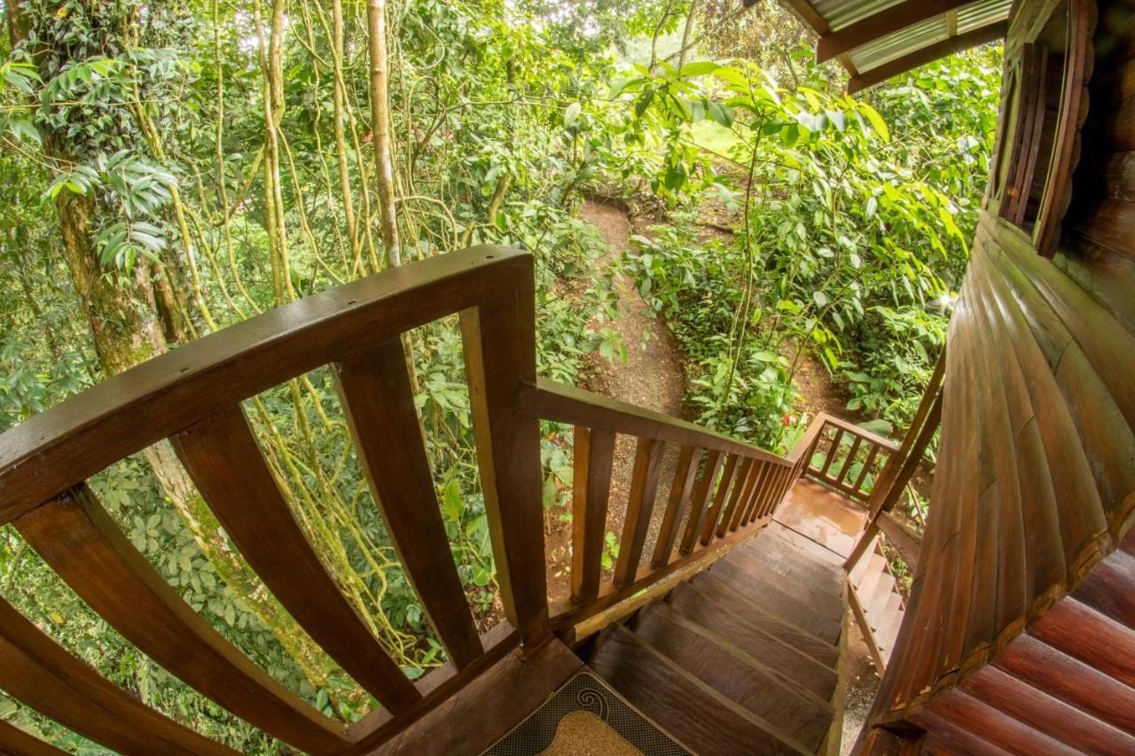 Arenal Rustic Lodge ラ・フォルトゥナ エクステリア 写真