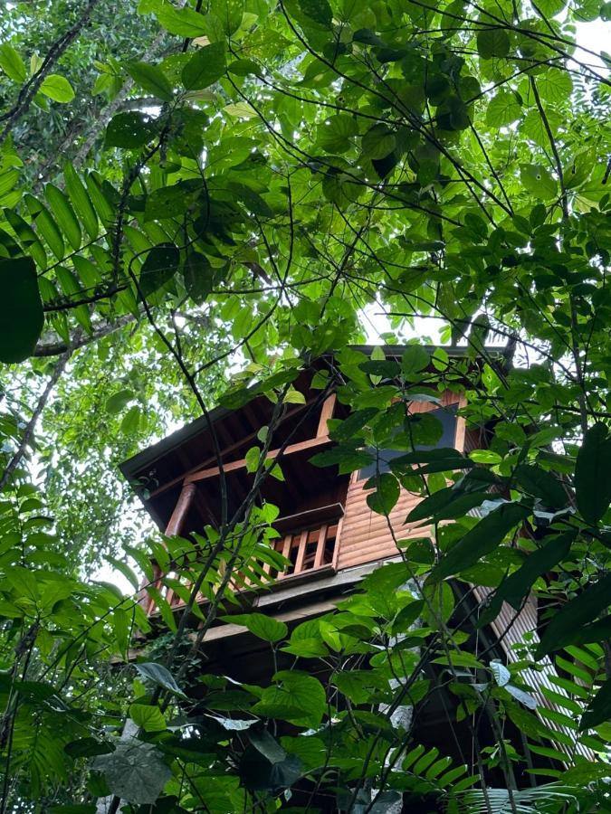 Arenal Rustic Lodge ラ・フォルトゥナ エクステリア 写真