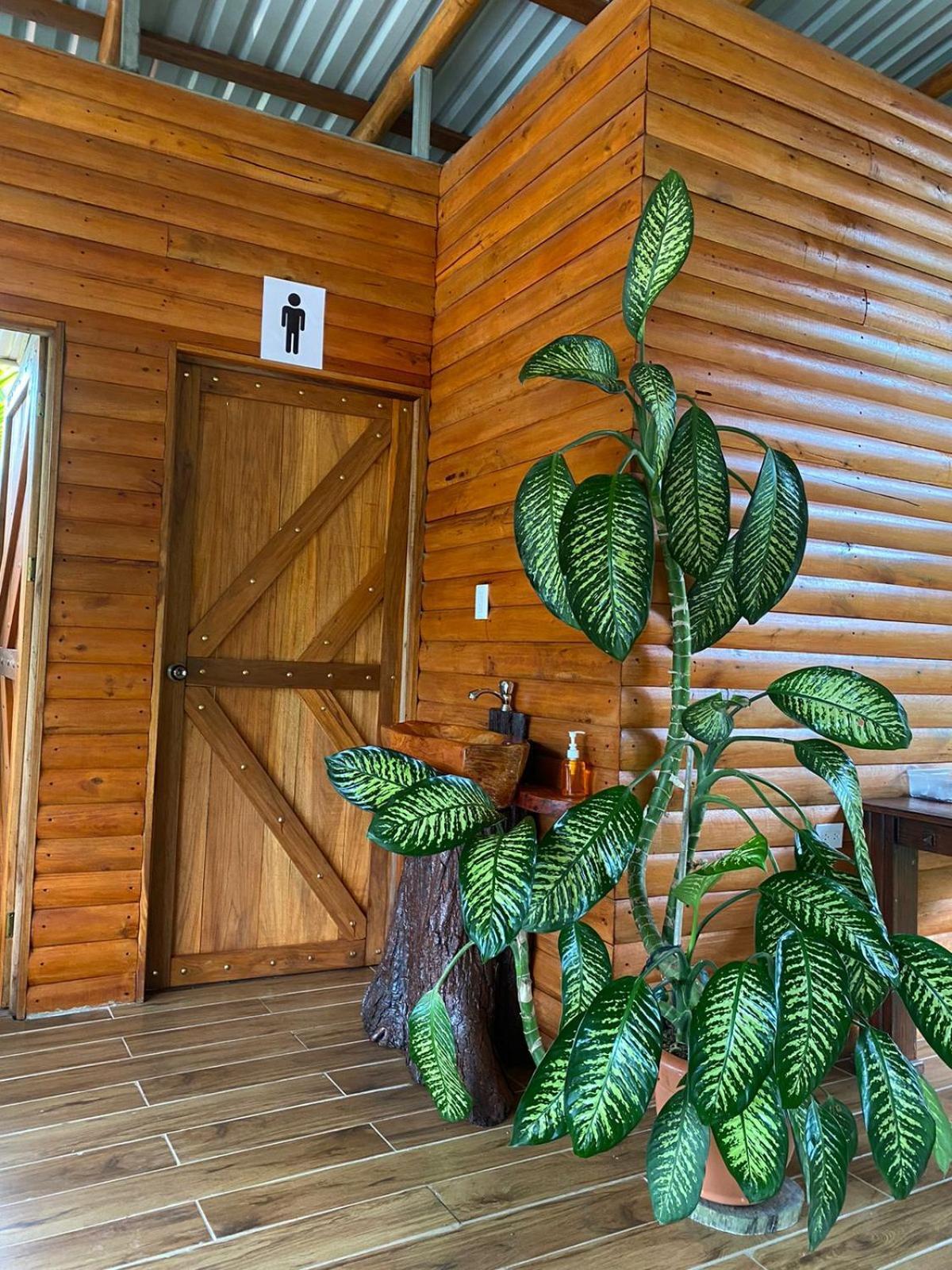 Arenal Rustic Lodge ラ・フォルトゥナ エクステリア 写真