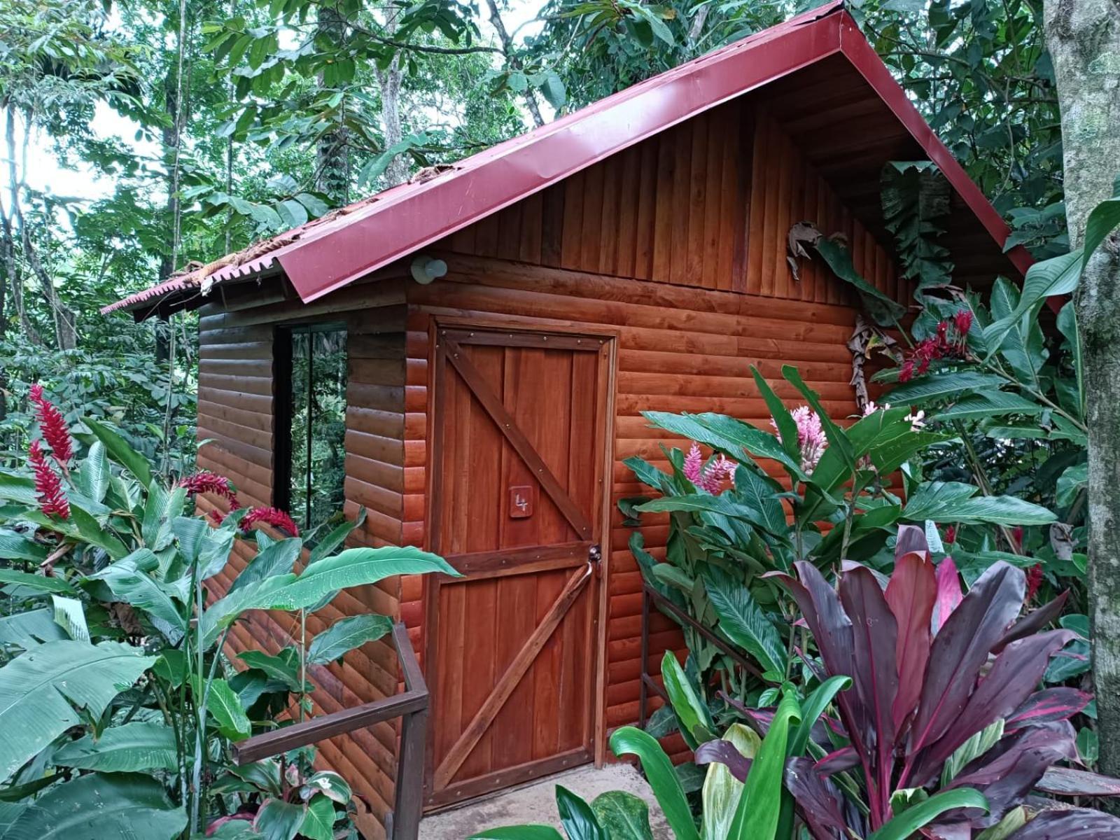 Arenal Rustic Lodge ラ・フォルトゥナ エクステリア 写真