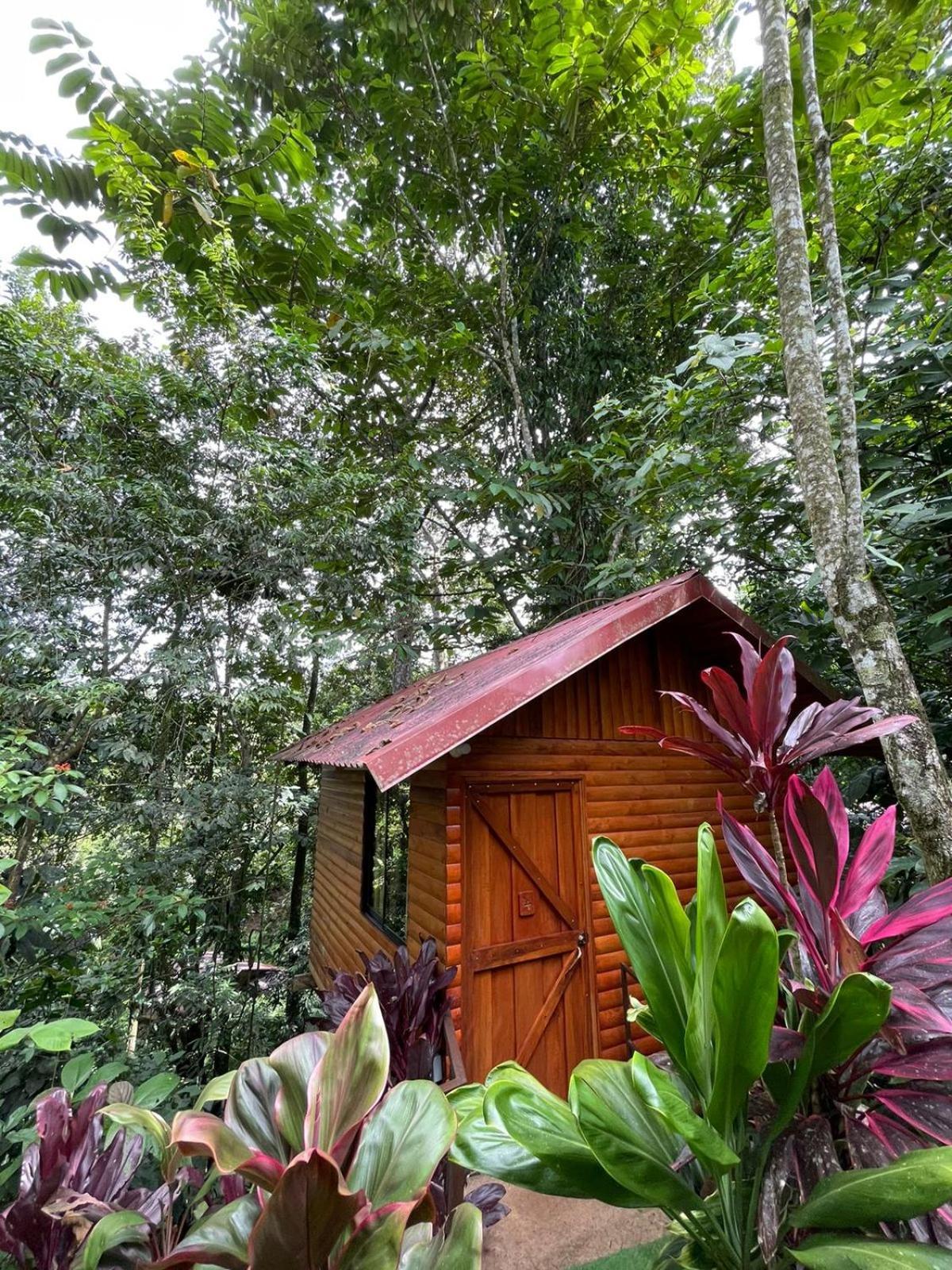 Arenal Rustic Lodge ラ・フォルトゥナ エクステリア 写真
