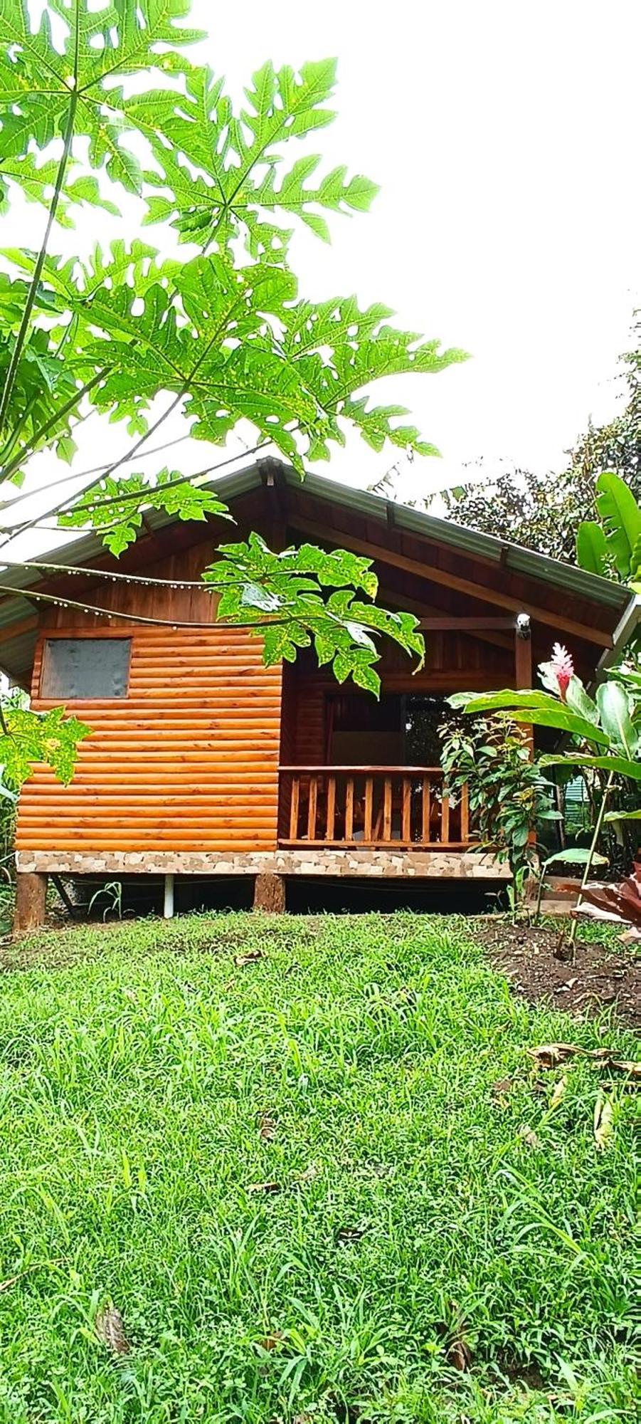 Arenal Rustic Lodge ラ・フォルトゥナ エクステリア 写真