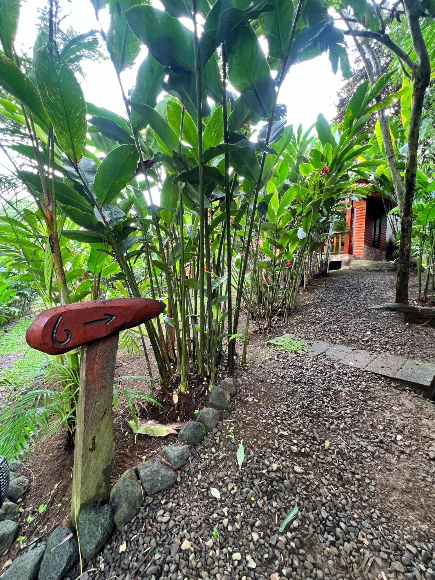 Arenal Rustic Lodge ラ・フォルトゥナ エクステリア 写真