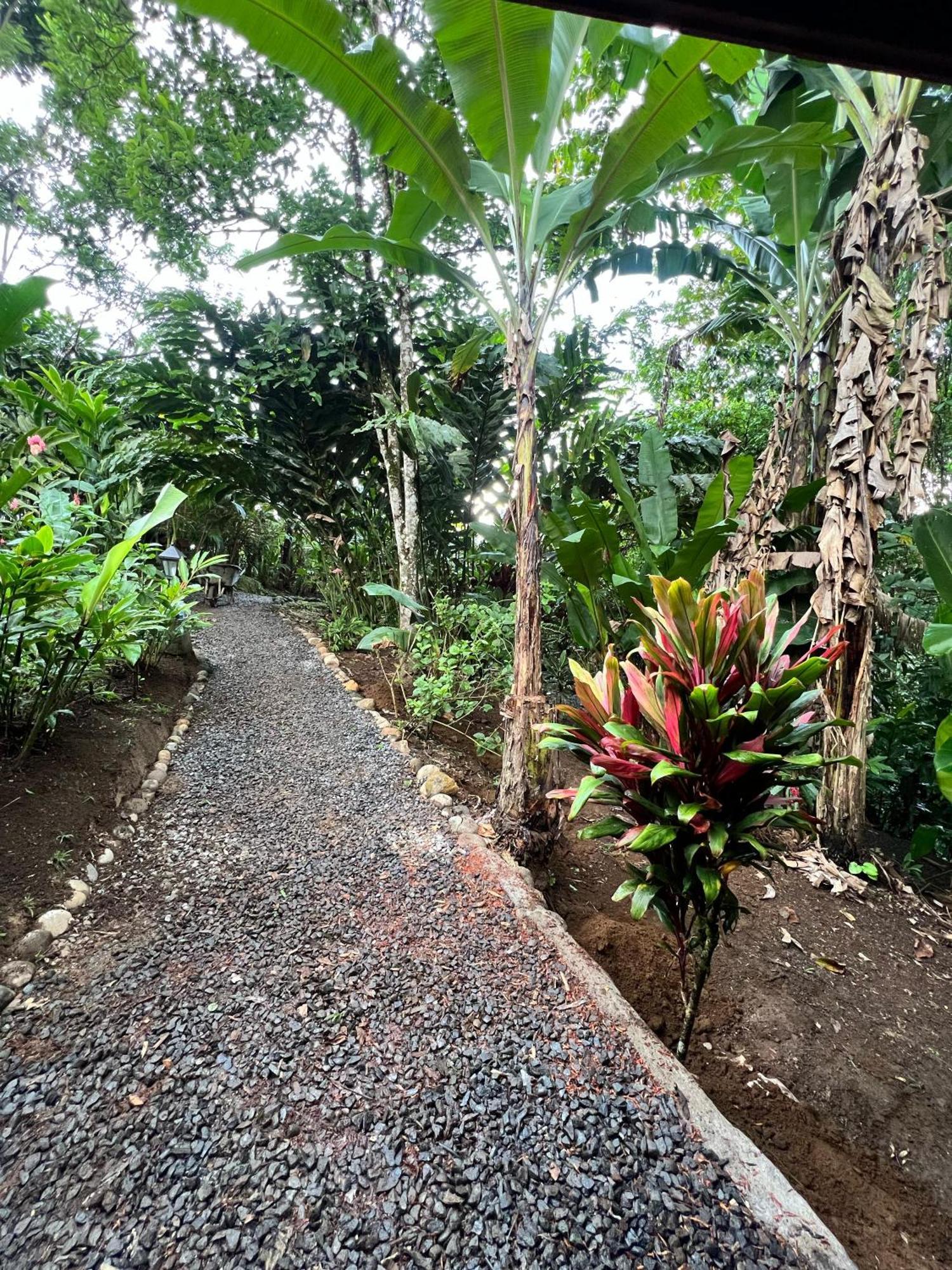 Arenal Rustic Lodge ラ・フォルトゥナ エクステリア 写真