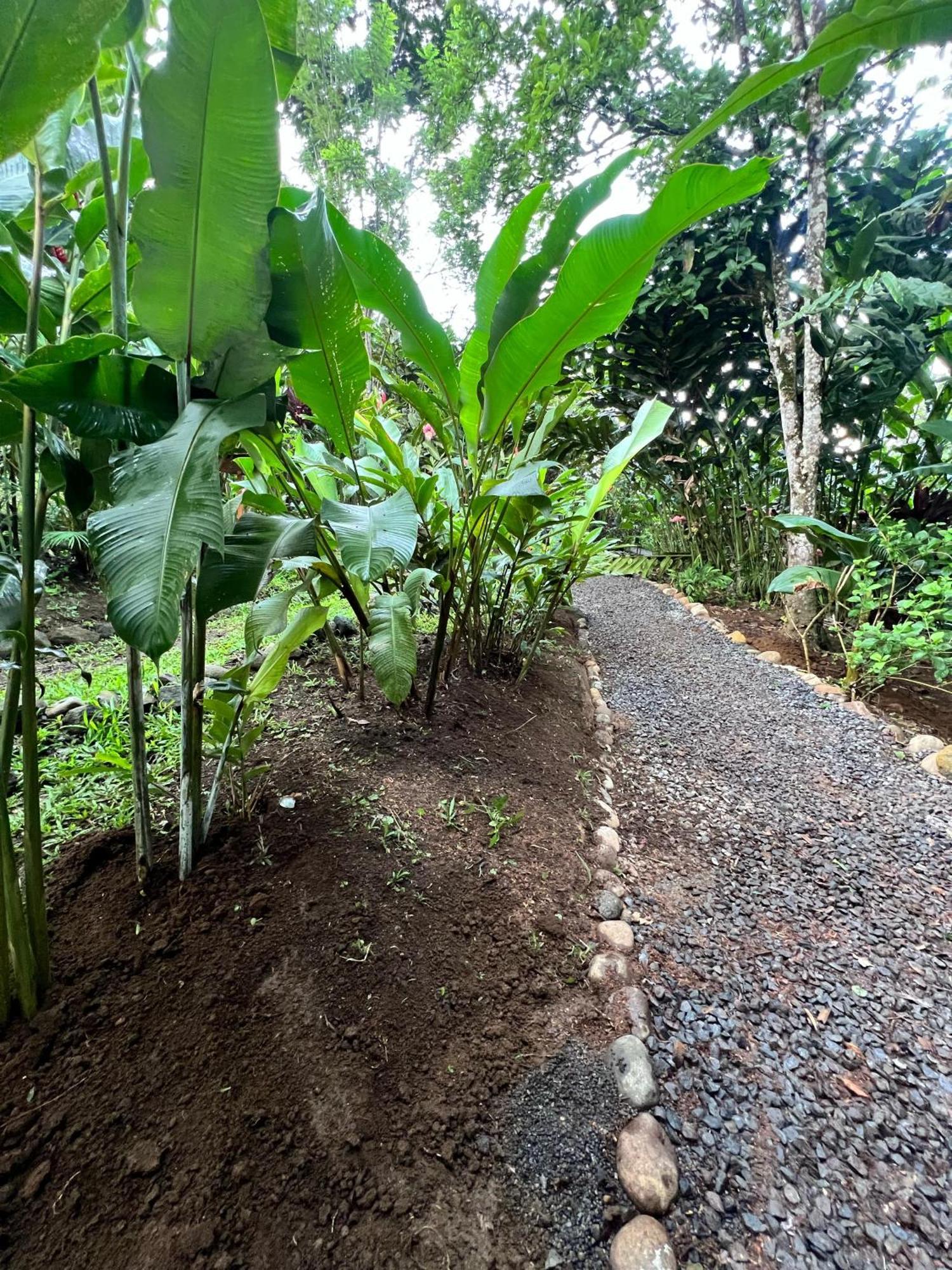 Arenal Rustic Lodge ラ・フォルトゥナ エクステリア 写真