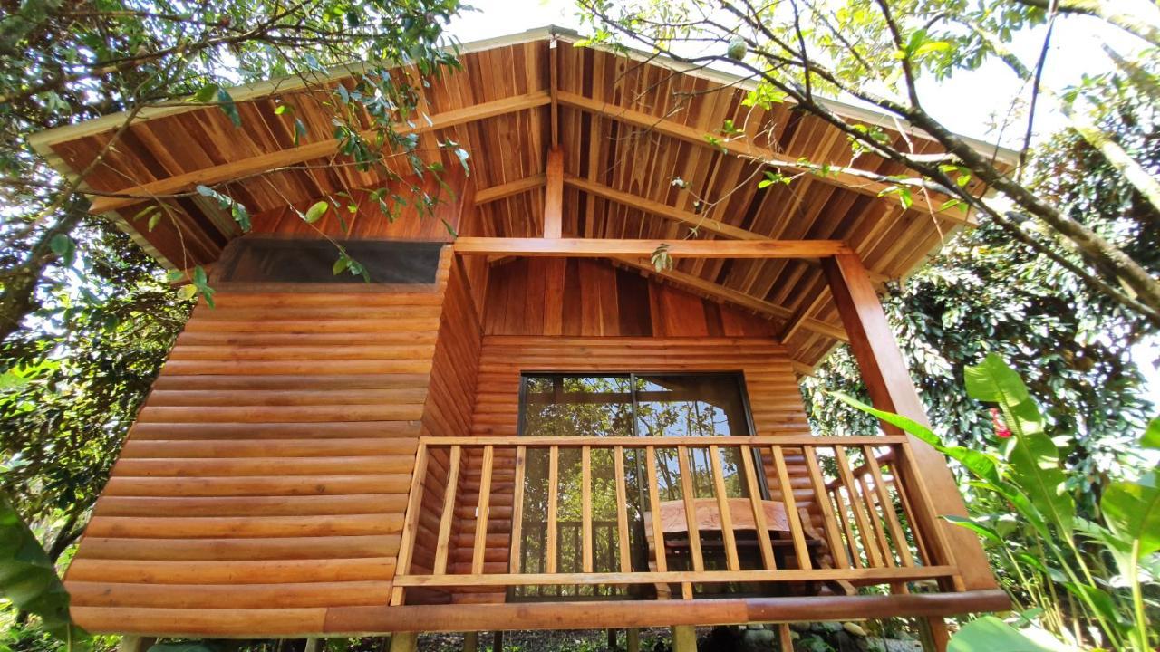 Arenal Rustic Lodge ラ・フォルトゥナ エクステリア 写真