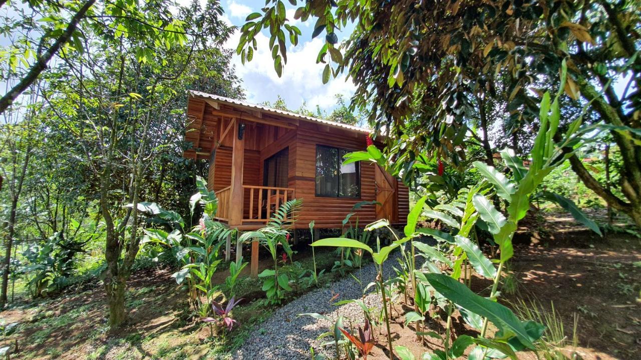 Arenal Rustic Lodge ラ・フォルトゥナ エクステリア 写真